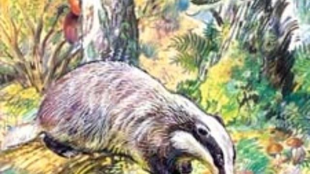 БАРСУЧИЙ НОС Константин Паустовский смотреть онлайн