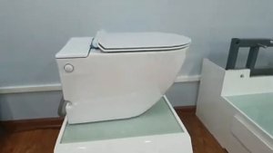 Общий вид импульсного унитаза Cerutti SPA BARBARIA Pulse