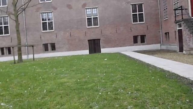 Цветы зимой во дворе Эрмитажа в Амстердаме смотреть онлайн