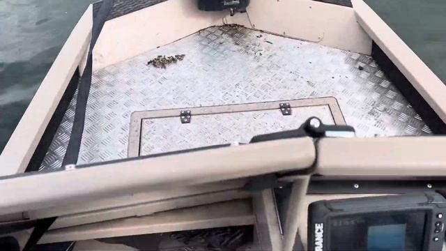 Mercury 40 jet (5500об/мин) Virta 4818 смотреть онлайн