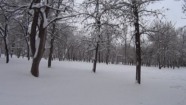 "Картина мира"/Елена Ильичева/Болтология ИМХО