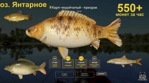 Русская рыбалка 4 / оз. Янтарное / Разнорыбица, разноцветные карпы ловятся, 550+ монет в час