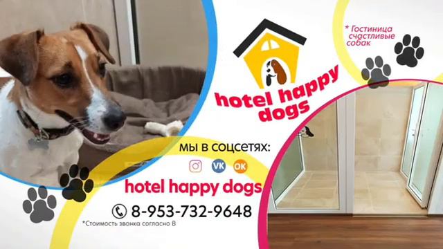 Гостиница для собак 🐶 Рязань