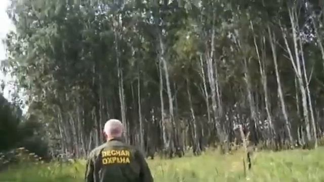НЕЗАКОННАЯ вырубка леса в Куйбышевском районе (мнение) смотреть онлайн
