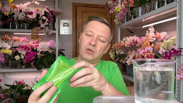 орхидеи от грибка ПЫШНО и ДОЛГО ЦВЕТУТ без удобрений для орхидей смотреть онлайн