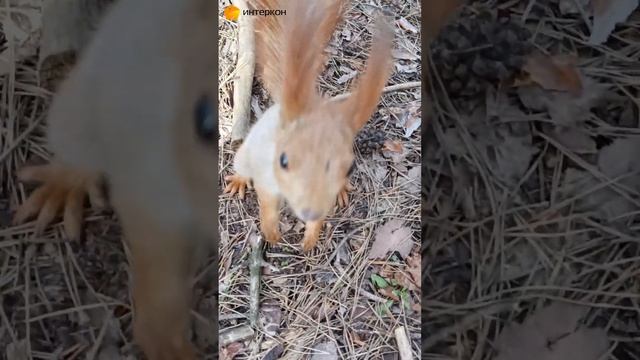 Вот кого мы встретили