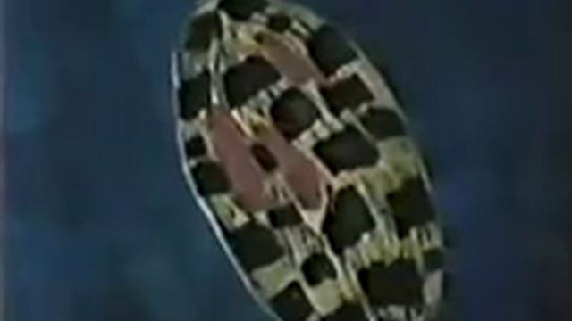 Роль хлоропластов в фотосинтезе смотреть онлайн