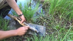 Рыбалка на диких озёрах. Туман.