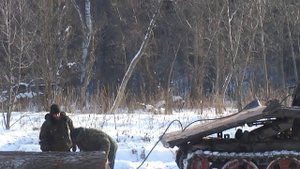 Легендарный ТДТ 55, заготовка леса