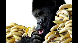 ЗАЧЕМ ЧЕЛОВЕКУ КУШАТЬ БАНАНОВУЮ КОЖУРУ?