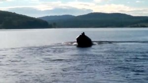 Mikatsu 9.9 винт9 Адмирал 320S