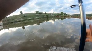 ФОРЕЛЬ/РЫБАЛКА НА ПЛАТНИКЕ/ЧИСТЫЕ ПРУДЫ/ПЕРВЫЙ ВЫЕЗД