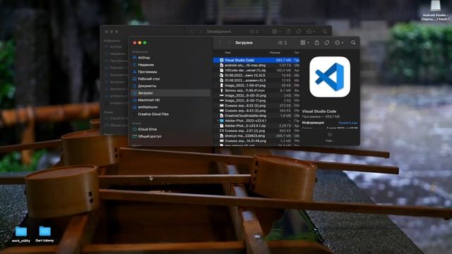 Пошаговая установка Dart & Flutter на macOS