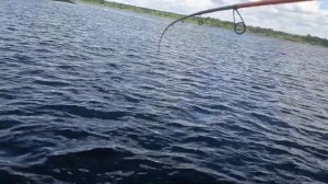 За щукой на лодке Мишимо 370 прошка, мотор Promax 9.9 (15), второй сезон полет нормалый!