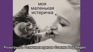 Детка моя песня те́мная ночь