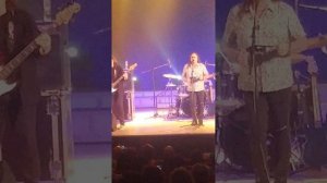 Группа Цветы в Рязани. Мы вам честно сказать хотим