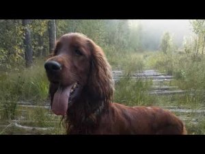 Озеро Сорочье