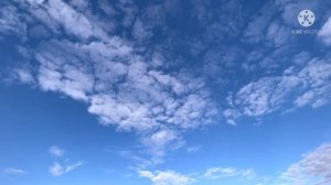 Рыбалка на реке зай район Байгулово. Трофейный сазан и приобретённый новый друг;)