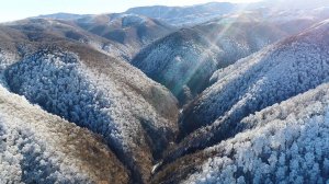 Диалоги о рыбалке  Часть 2