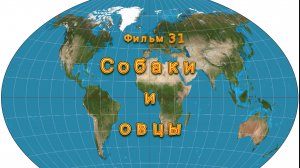 Фильм 31. Собаки и овцы