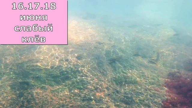 Календарь рыбака на Июнь 2022 / Прогноз клева рыбы на Июнь / Лунный календарь клева рыбы июнь 2022.