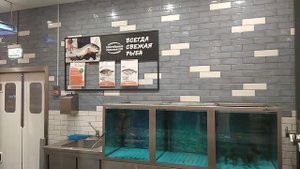 Живая рыба в Глобусе 03.08.2024