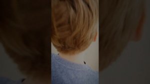 Ура! Как говорит АИ: "Вотпуск!".mp4