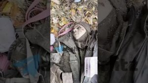 медведев олег павлович
