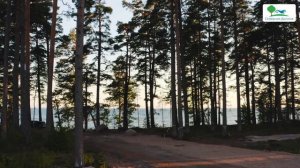 Акватория - коттеджный поселок на берегу Финского залива.