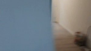 МОСКВА, УЛ. АЭРОСТАТНАЯ ЖК "НОВОЕ ВНУКОВО" ЗА ИПОТЕКУ ПЛАЧУ Я, А В МОЕЙ КВАРТИРЕ ПРОЖИВАЮТ МИГРАНТЫ