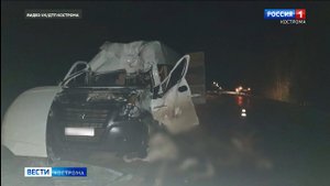 Три человека погибли в ДТП с лосем под Костромой