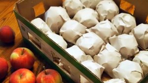 КАК ХРАНИТЬ ЯБЛОКИ ЗИМОЙ #Как в домашних условиях хранить яблоки на зиму