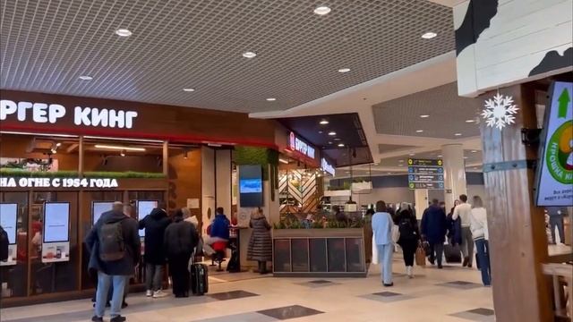 ? Москва Аэропорт Домодедово Уральские Авиалинии Сегодня Не Подвели ???✈️