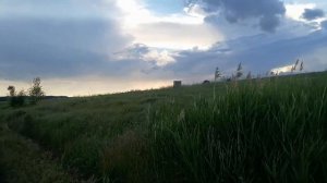 Пруд в с. Трещевка(у дяди Вани)