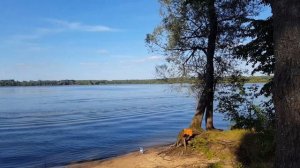 Можайское водохранилище 2#18. отдых на лодке