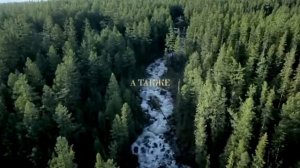 Заставки сериала "Пока цветёт папоротник"