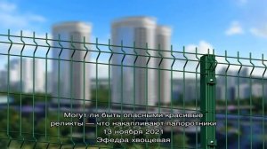 Как выбрать сетку для строительства забора на даче