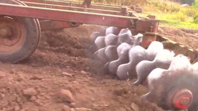 РАЗРАБАТЫВАЕМ НОВЫЙ УЧАСТОК ДЛЯ ПОСАДКИ ЧЕСНОКА