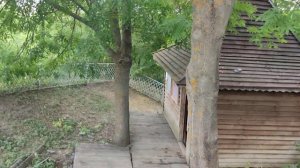 Источник и купель в селе Сапрыкино. Белгородская область.