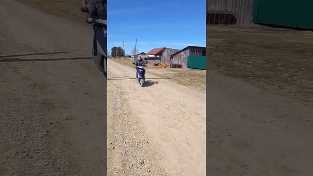 HONDA DIO????? смотреть онлайн