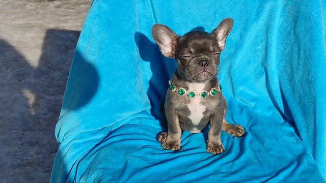 3 марта 2024 г. смотреть онлайн