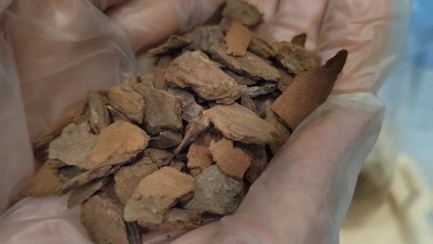 Орхидея ВЫЖИМАЕТ все соки из себя 🥺. Отдали обезвоженную,сухую,еле живую орхидею. Реанимация орхиде