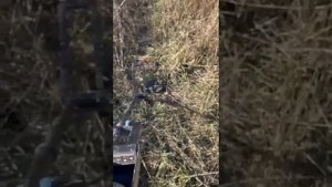 Настройка порога сигнала металлоискателя Альфамарин5000.