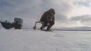 ЛОВЛЯ СУДАКА. ЛЕСКА 0,25. МОРМЫШКА 10 ГР. РЕЗУЛЬТАТ ПРЕВЗОШЕЛ ОЖИДАНИЯ.