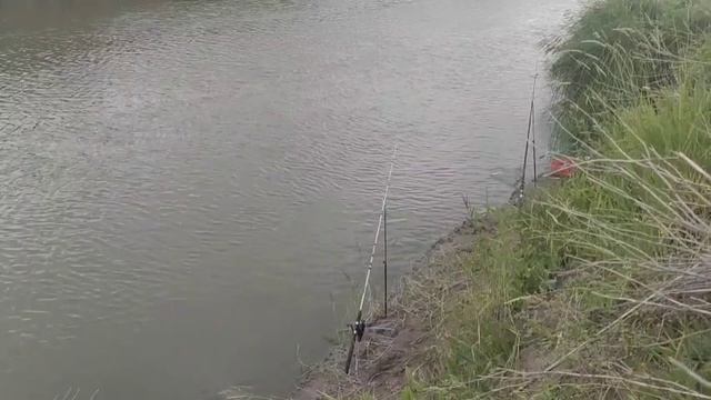 Судак на кукурузу???/рыбалка на реке Нура | Fish Catching In River #рыбалка #fishcatchriver смотреть онлайн