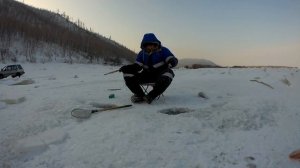 КРУПНЫЙ СИГ НА БЛЕСНУ! РЫБАЛКА 2020