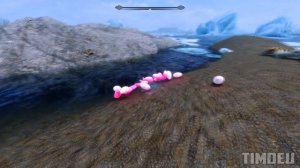 Skyrim ٠ Habe diese Funktion zum ersten Mal gesehen Auge der Falmer