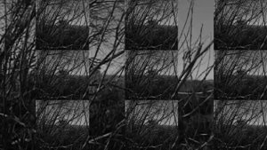 ВАНЯ крит губы как сок original