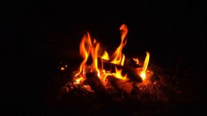 РЫБАЛКА С НОЧЕВКОЙ В ТАЙГЕ