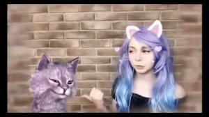 Кошка Лана показала своё лицо!